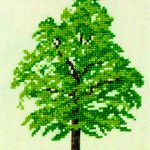 Oak