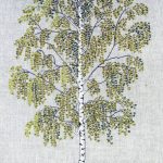 Big Birch
