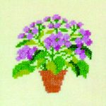 Ageratum