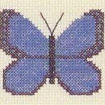 Blue Butterfly