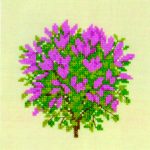 Lilac