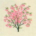 Japanese Cherry