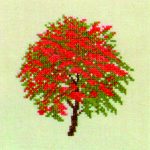 Red Hawthorn