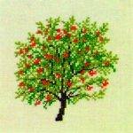 Mountain Ash