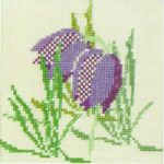 Fritillary