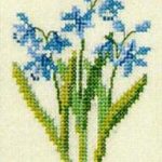 Scilla