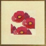 Poppy