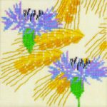 Cornflower