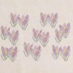 Crocus