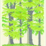 Beech Forrest
