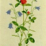 Red Clover