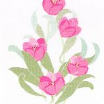 Pink Tulip