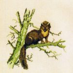 Pine Marten
