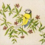 Blue Tit