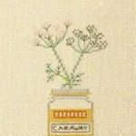 Caraway