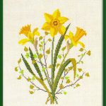 Three Daffodils