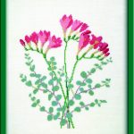 Freesia