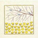 Winter Aconite