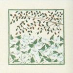 Bindweed