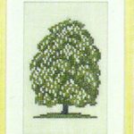 Horse Chestnut