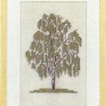 Birch