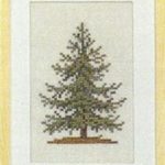 Spruce