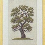 Oak