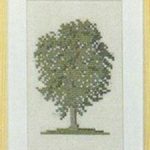 Elm