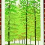 Beech Wood