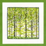 Beech Forrest