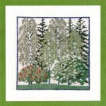 Birch Forrest