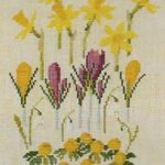 Spring Flowers