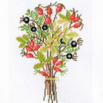 Rose Hips