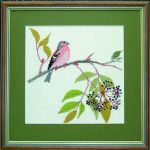 Chaffinch