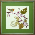 Robin
