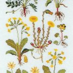 Yellow Spring Flowers