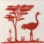 Ostrich and Acacia