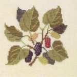 Mulberry