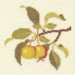 Crab Apple