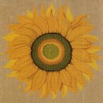 Big Sunflower