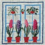 Hyacinth
