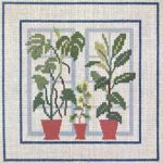 Philodendron