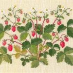 Wild Strawberries