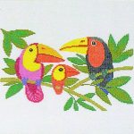 Toucan