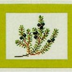Crowberry