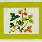 Wild Strawberry