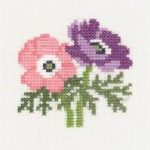 French Anemone