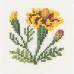 Marigold