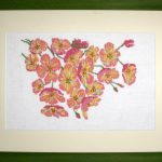 Climbing Rose