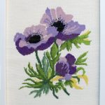 French Anemone